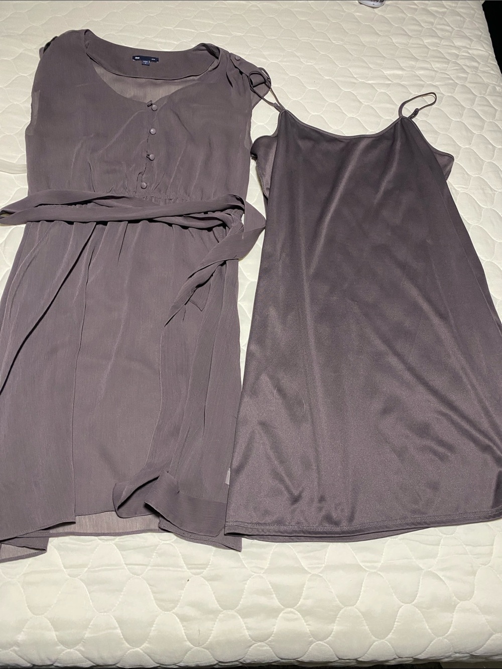 GAP Two-Piece Dress and Sheer Overlay in Mauve